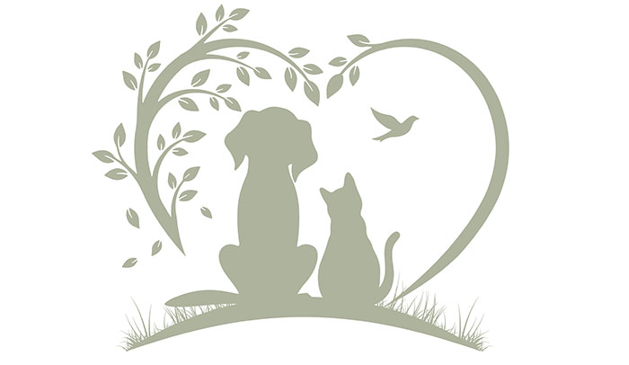 The gentle crossing vet. Home euthanasia and cremation service